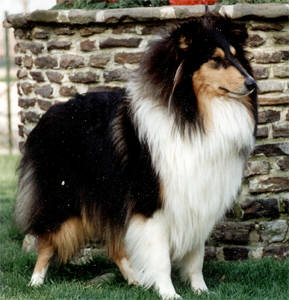 CH. Carmen Du clos des centaures